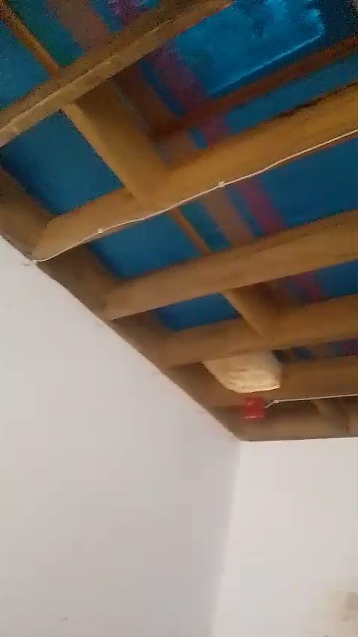 Nesting plank ceiling inside a swiftlet house, where the birds attach their nests